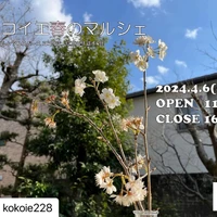 画像293