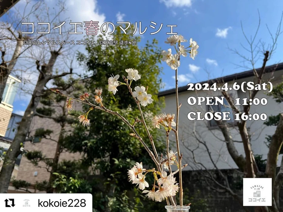 画像293